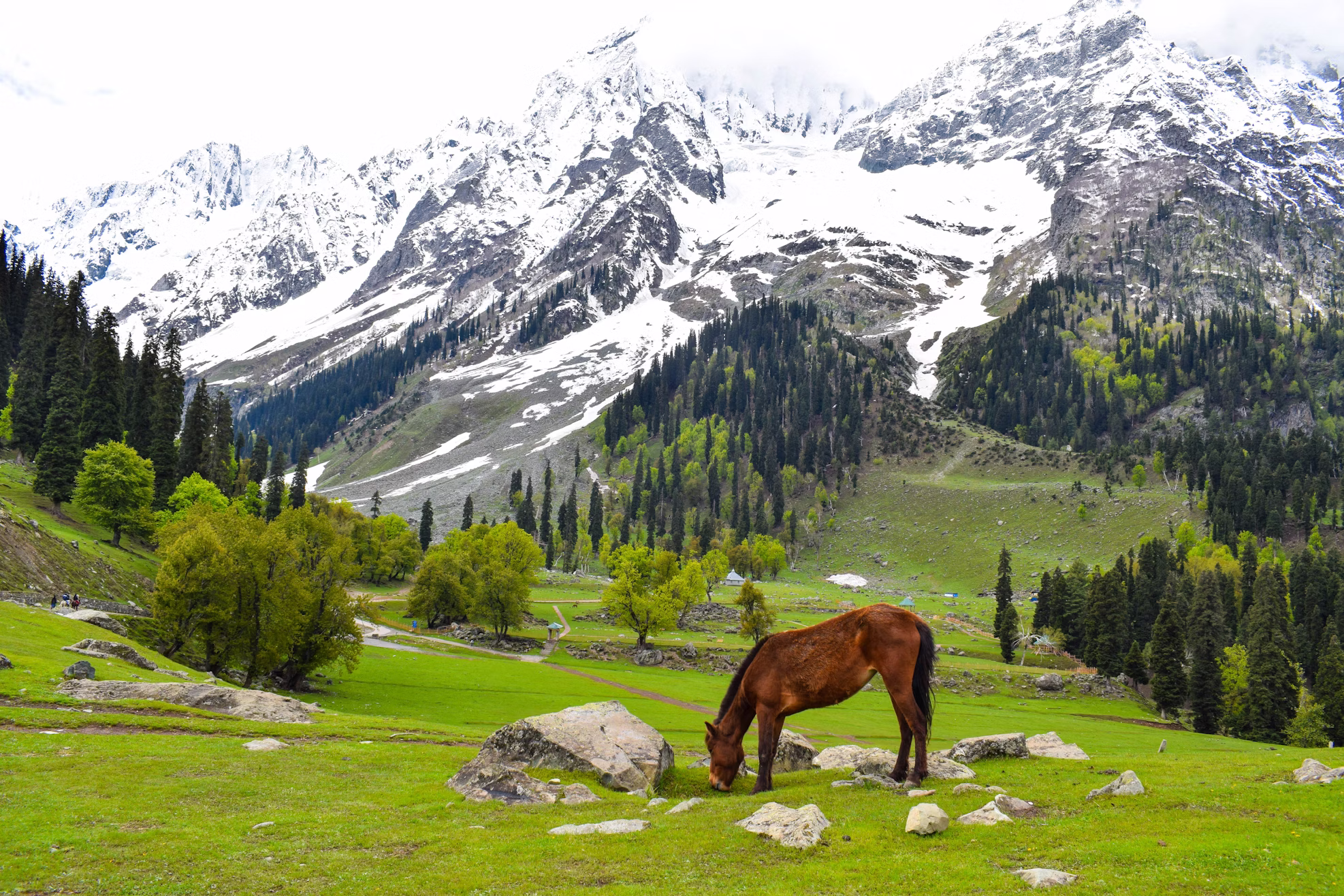 Where Mountains Embrace You
